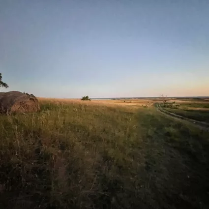 SD Dusk