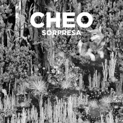 Song of the Day: 'No Más' by Cheo