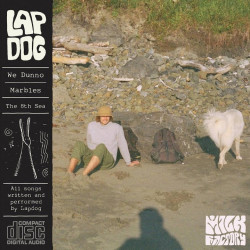 Song of the Day: 'Marbles' by Lapdog
