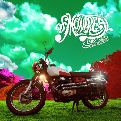 Song of the Day: 'Belle Glade Missionaries' by of Montreal