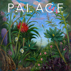 Song of the Day: 'Face in the Crowd' by Palace