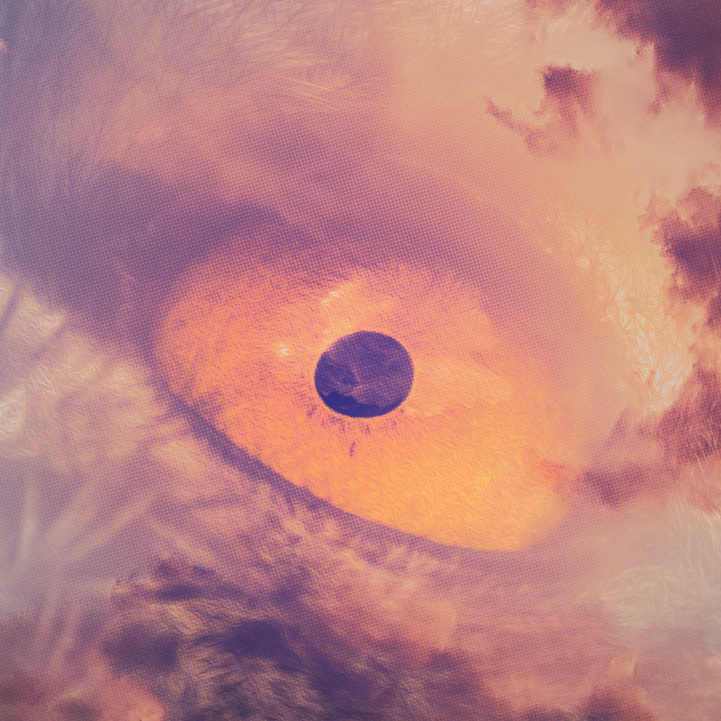 The/Theys 'Float Away (Birds Eye)'