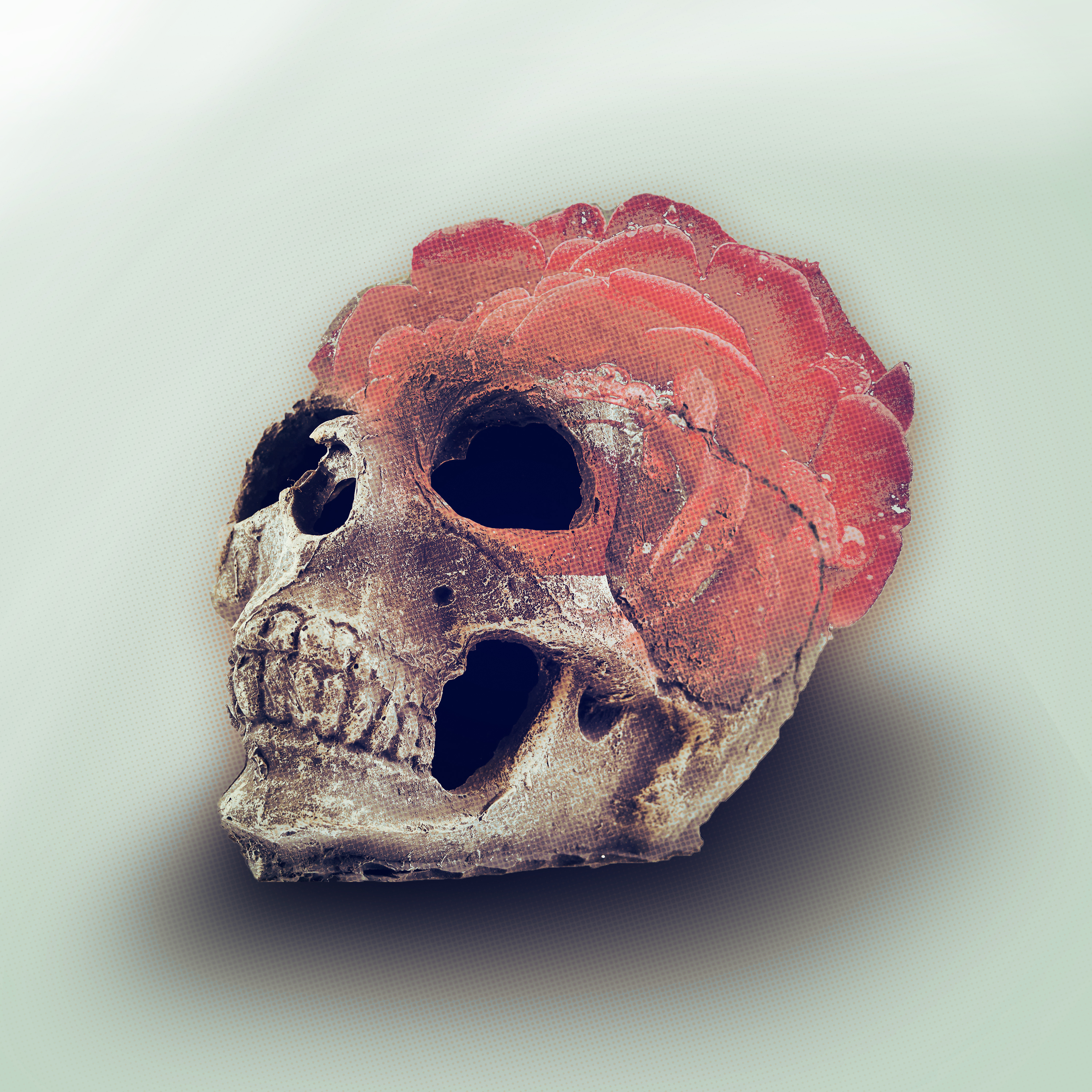 Darren Farnsworth 'Crooked'